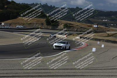 media/Aug-23-2024-Speed Ventures (Fri) [[92f1efc5e7]]/Green/Session 1 (Turn 3)/